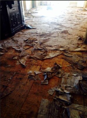 Dry Out Services Caused by Toilet Leak in Fort Worth, TX (3)