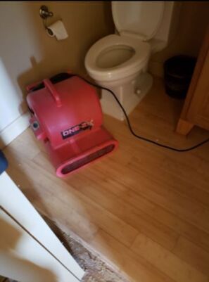 Dry Out Services in Arlington, TX (3)