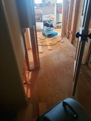 Dry Out Services in Arlington, TX (1)