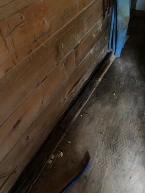 Water Damage Restoration in Fort Worth, TX (4)