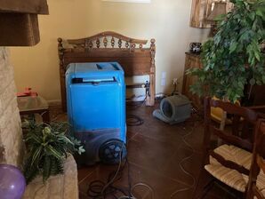 Dry Out Services in Fort Worth, TX (4)