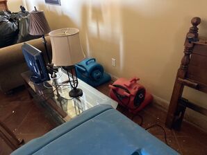 Dry Out Services in Fort Worth, TX (3)