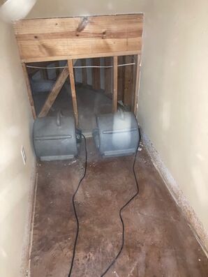Dry Out Services in Fort Worth, TX (2)