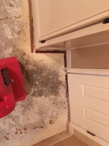 AC Leak in Weatherford, TX (2)