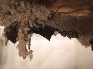 Water Heater Leak in Fort Worth ,TX (2)