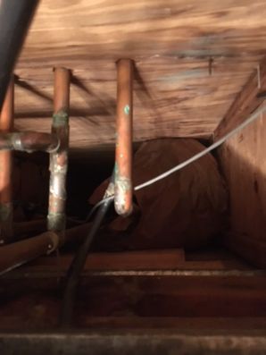 Water Heater Leak in Fort Worth ,TX (3)