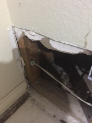 Shower Leak in FT Worth, TX (1)